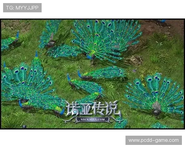 加入鸿博国际娱乐官网,畅享丰富多彩的游戏世界与奖励 加入鸿博国际娱乐官网,畅享丰富多彩的游戏世界与奖励